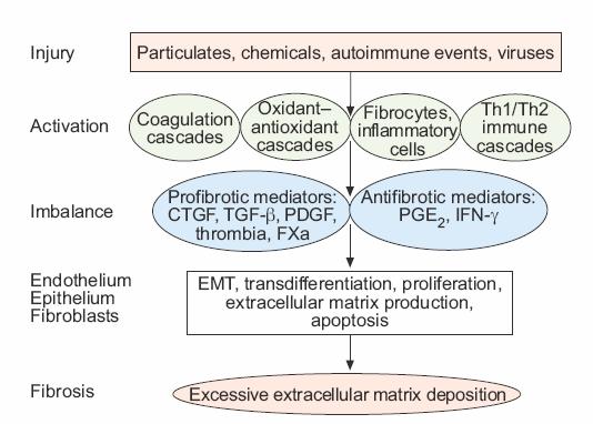 Multiple molecular pathways and mechanisms