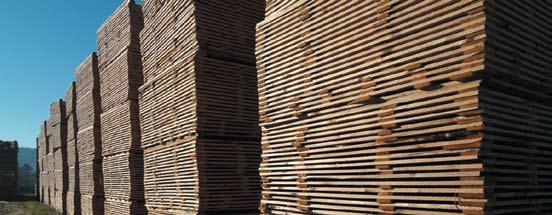 Clasificación visual da madeira serrada para uso estrutural. Madeira de Coníferas A norma UNE 56544:2007 Clasificación visual de la madera aserrada de uso estructural.