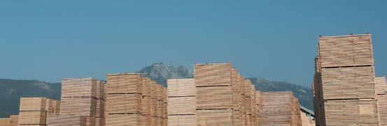 Recepción en obra da madeira estrutural Documentación do material Tal como se recolle no Código Técnico da Edificación, o material recibido en obra debe achegar un albará onde indicará a seguinte