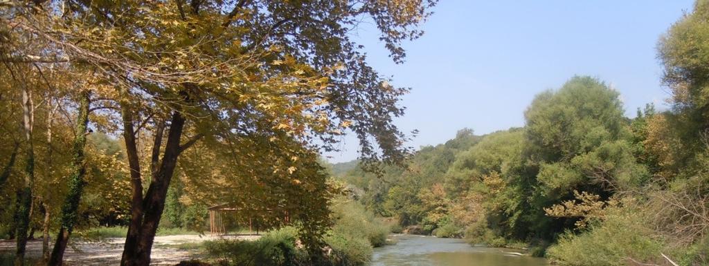 4.4 Δη μος Ζι τσας Έγιναν αυτοψίες σε τρεις περιοχές του Δήμου. 1) Χώρος αναψυχής Μνημείο Αγρότισσας στην όχθη του ποταμού Τύρια.