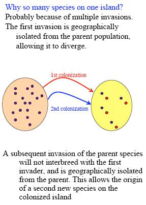 Γιατί τόσα είδη σε ένα νησί; Πολλαπλές εισβολές.