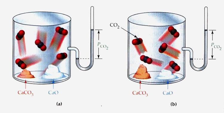 Fig. 17 : Thermal deomosition of alium arbonate : CaCO (s) CaO(s) + CO (g) At the same temerature, the equilibrium ressure of CO (measured with a losed-end manometer) is the same in (a) and (b),