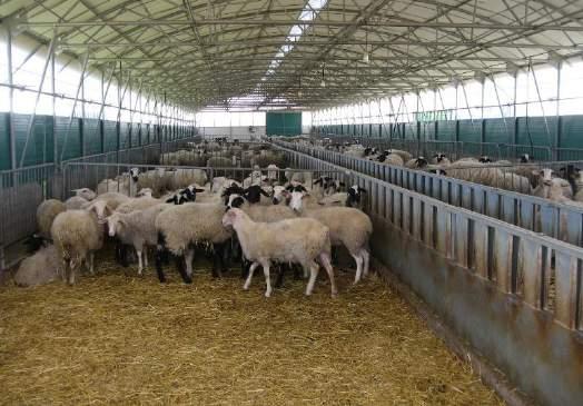 προβατοτροφίας και της αιγοτροφίας στην Ελλάδα καθορίζονται από