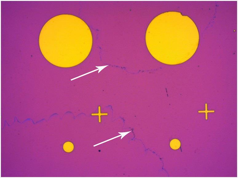 MIM Capacitor Samples Symmetrical Pt/Au contacts of 1mm diameter CNTs solution deposited on