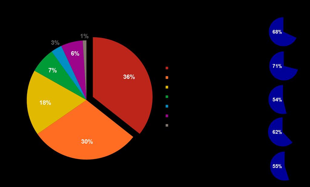 Type 1 Diabetes: 64% of European Mealtime Insulin Users