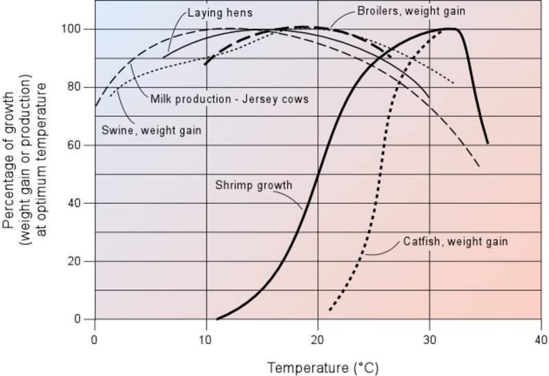 Σχήµα 12: Επίδραση της θερµοκρασίας στην ανάπτυξη ή παραγωγή ζώων που εκτρέφονται για κατανάλωση Οι υδατοκαλλιέργειες, οι οποίες στην ουσία αποτελούν την ελεγχόμενη εκτροφή υδρόβιων οργανισμών,