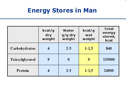 Glc + ADP + Pi 2 Lac + ATP 9 De ce glicogenul este forma de stocare a energiei metabolice?