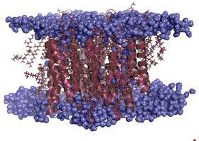 Solubilitatea majoritatea proteinelor sunt solubile în apă, soluţii saline sau alcool; solubilitatea proteinelor depinde de ph (la ph izoelectric solubilitatea