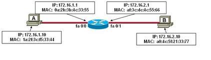 D. UDP works well when an application does not need to guarantee delivery of data. E. UDP relies on IP for error detection and recovery. 3. Refer to the exhibit. Host A sends a data packet to host B.