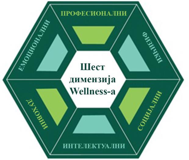 National Wellness Institute 1 дефинише wellness као активан процес кроз који људи постају свесни и доносе одлуке ка успешнијем постојању. Слика 4. Шестодимензионални модел wellness-а (www.