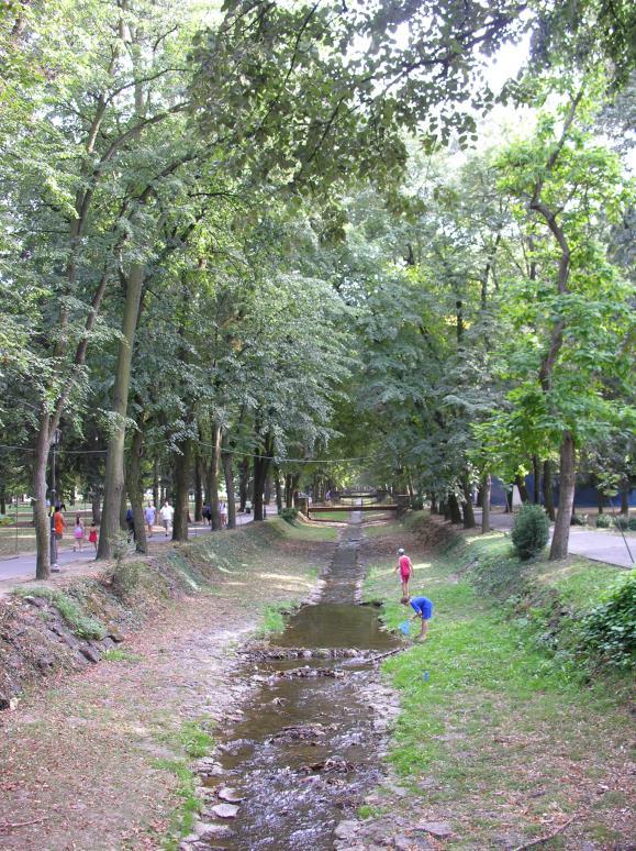 Чајкино брдо представља аутентичну амбијенталну целину у центру Врњачке Бање (173 биљне врсте) и ту се налази 49 објеката заштићених као културно историјска добра (Милићевић, 2015).
