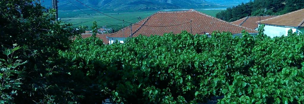 Παρατηρούμε, ότι πρόκειται για την ίδια ημερομηνία που έχει αναφερθεί και για τον γειτονικό οικισμό Κεραμίδι. Πιθανολογείται πολύ ισχυρή βροχόπτωση.