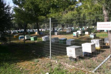 Γίνονται σεμινάρια μελισσοκομίας αμπελουργίας,