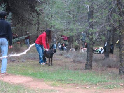 Περισσότεροι κάδοι σκουπιδιών. Να αναλάβει ο δήμος τον καθαρισμό του. Να υπάρχουν μόνιμοι φύλακες.