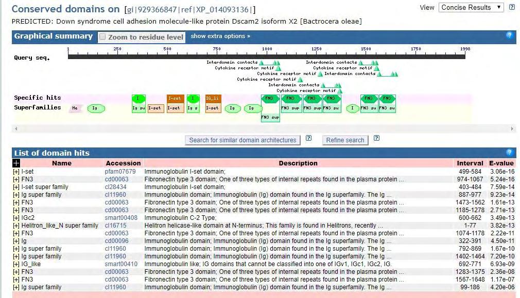 6.3. To γονίδιο dscam2 Εικόνα 15: Προβλεπόμενη οργάνωση του γονιδίου dscam2 του δάκου της ελιάς. Πηγή: Βάση Δεδομένων Interpro. 7. Βιβλιογραφικές Παραπομπές Adelman, Ζ. Ν., & Tu, Ζ. (2016).
