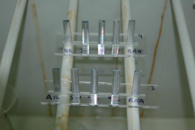 Πειραματική διαδικασία 44 a b Σχήμα 13: a)τοποθέτηση δοκιμίων κράματος ΑΑ7075 με κατεργασίες AR, SW, T6, T7 και RRA, σε θάλαμο αλατονέφωσης, προκειμένου να προδιαβρωθούν πριν την έκθεσή τους σε