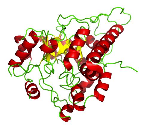 NADDRUŽINA%(superfamily)% DRUŽINA%(family)% PROTEIN% VRSTA%(species)% splošne%lastnosy%(npr.