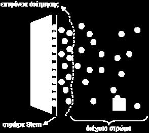 επιφάνειας [Παναγιώτου 1998]. 3.