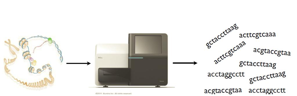 NGS Overview Biological Sample NGS Instrument Data Library Preparation Sequencing Data Analysis