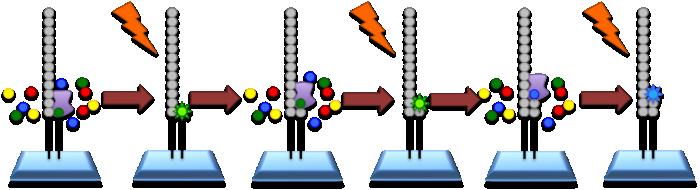 Τεχνολογίες NGS I fluorescence-based