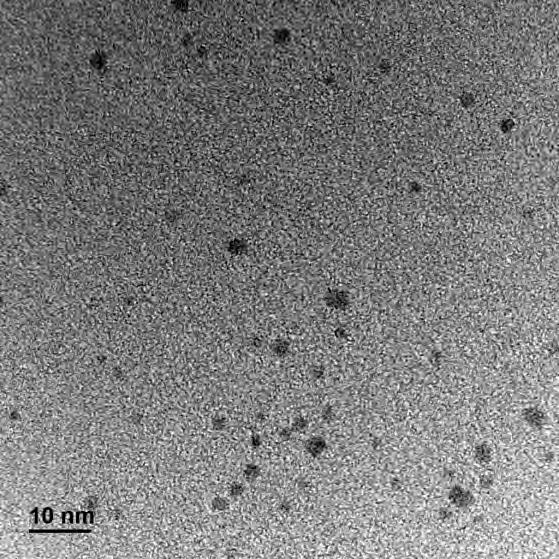 5.2: Εικόνες ΤΕΜ των ελεύθερων νανοσωματιδίων Pd. 5.5.3 Θερμοβαρυμετρική