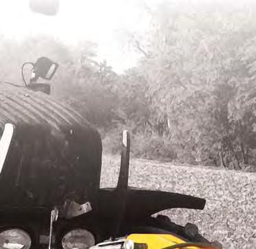 TR36 -