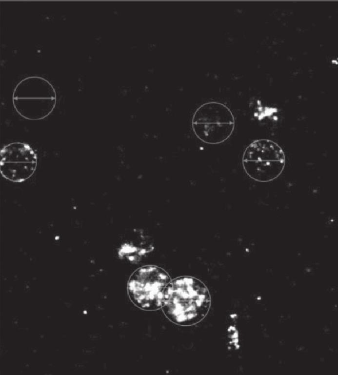 ² Ê É ³ É ÉÓ, ÎÉμ μ²óï É μ Ëμ±Ê μ ±² É± Ì Ê ± Ó ± 24 Î μ ² μ ²ÊÎ Ö ÔËË ±É μ Ô² ³ ÊÕÉ Ö, μ ±μ ±μ- Éμ Ò ±² ÉμÎ Ò Ö μ É γh2ax/53bp1 Ëμ±Ê Ò μ²óï μ ³ μ Õ μ É ²Ó Ò³ (. 3, ).