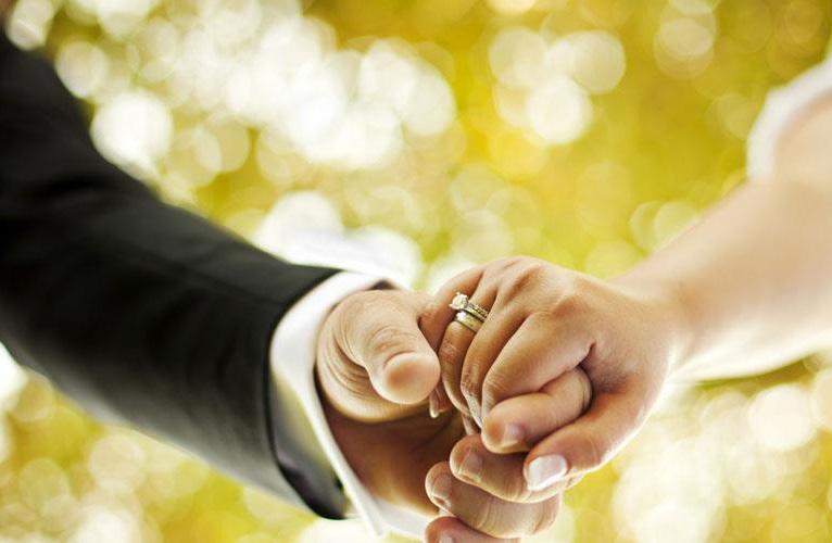 Η Επιτροπή αυτή έχει τη δική της ταυτότητα και τα δικά της κριτήρια έτσι ώστε να μπορούν πιο εύκολα να προβληθούν τα μέλη, αλλά και οι καταναλωτές να έχουν κάποια ασφάλεια ως προς τις υπηρεσίες που