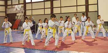 Έλαβαν μέρος συνολικά 678 μαθητές και μαθήτριες (59 ομάδες) από 24 Γυμνάσια και 20 Λύκεια.