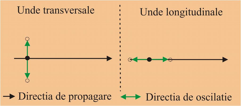 Figura 8.1. Directia de oscilatie a punctelor materiale este perpendiculara pe dirctia de propagare in cazul undelor transversale si paralela pentru undele longitudinale.