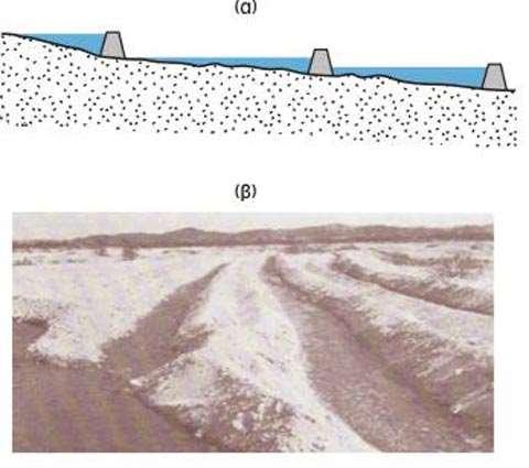 Εικ 4.6: Διευθετήσεις στις κοίτες χειμάρρων για τεχνητό εμπλουτισμό. (α): μικρά φράγματα κατά μήκος, (β): αυλάκια (κατά Todd 1980). (πηγή εικόνας:www.geo.auth.gr). 5.2.6. Μέθοδος αρδεύσεως Σε αρδευόμενες περιοχές διοχετεύεται περίσσεια νερού στη διάρκεια του χειμώνα, σε περιόδους αγραναπαύσεως, ή σε μη αρδευτικές περιόδους.