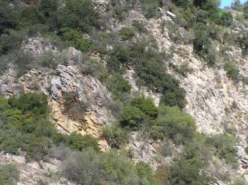 Εικ 5: Κρατικοποιημένοι ανθρακικοί