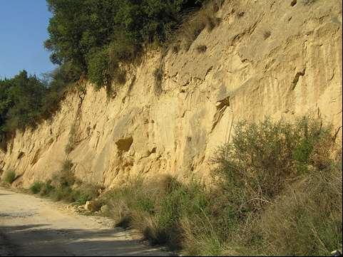 Εικ 5: Καθαρές άμμοι, στον αγροτικό