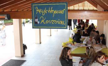 παρέμβαση του Διεθνούς Νομισματικού Ταμείου σε ασθενείς οικονομίες και οι επιπτώσεις της».