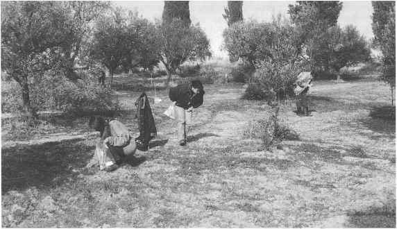 Φαίνεται πως σχετίζονται με το βασικό οδικό άξονα Πατρών - Δύμης.