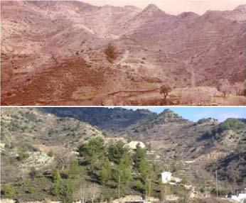 Κυπριανού & Ζάνγκας Φυσική δάσωση ΦΥΣΙΚΗ ΔΑΣΩΣΗ ΤΗΣ ΠΕΡΙΟΧΗΣ ΠΙΤΣΙΛΙΑΣ Ανδρέας Κυπριανού 1,2, Θεοχάρης Ζάνγκας 2 1 Αγρός Τ.Κ. 4860 / 2 Τμήμα Δασολογίας και Περιβάλλοντος, Αριστοτέλειο Πανεπιστήμιο Θεσσαλονίκης, Ελλάδα [Κυπριανού Α.
