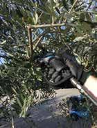 Είναι: Πολύ ελαφρύ Ζυγίζει μόνο 510 gr Κατά 15% πιο δυνατό με ψαλίδια ιδίων προδιαγραφών, Φ 32 Πολύ εύχρηστο Δεν