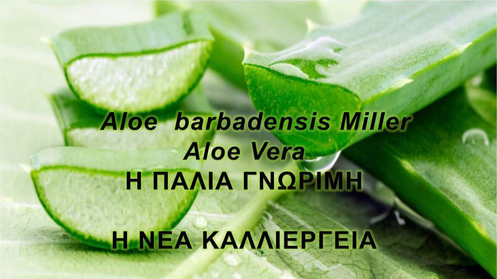 ΕΛΕΥΘΕΡΙΑ ΚΑΠΑΡΑΚΟΥ Τεχνολόγος Τροφίμων