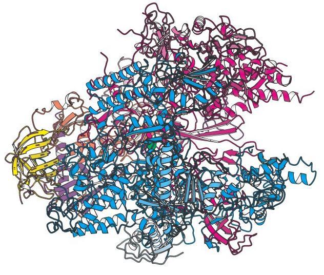 Εισαγωγικά: Μεταγραφή mrna DNA RNA πολυμεράση Ευκαρυωτική RNA πολυμεράση Η μεταγραφή αποτελεί το πρώτο βήμα στη γονιδιακή έκφραση και το