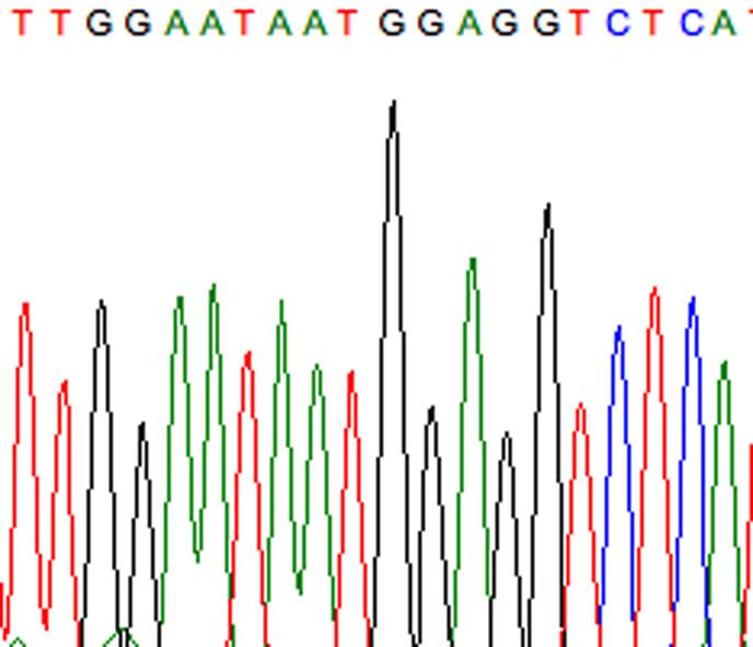 A>T T PARP8 (Ch 5, 50117140) Case