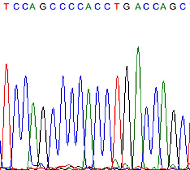 VeriﬁcaKon of representakve genekc