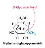 μεθυλο-β-dγλυκοπυρανοζίτη. Εικόνα 13 Αυτοί οι δύο γλυκοπυρανοζίτες διαφέρουν στην διαμόρφωση του ανωτερικού ατόμου άνθρακα.