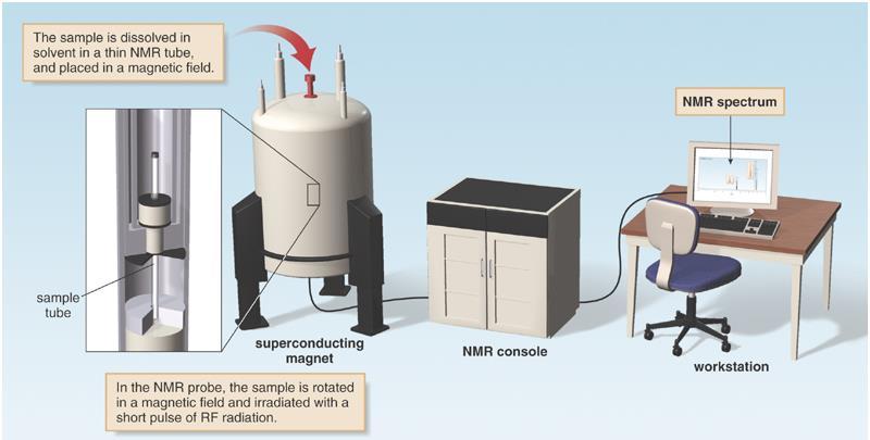 Nuclear Magnetic Resonance