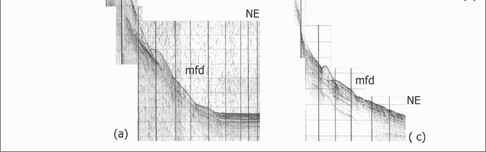 submarine failures and the location of the basin bounded faults.
