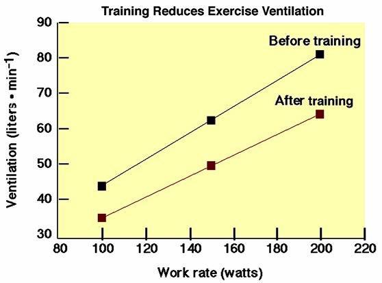Effects of aerobic training