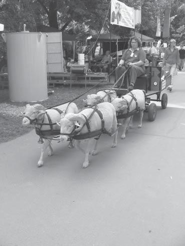 jednotlivých hospodárskych zvierat. Početné zastúpenie mali kone, ošípané (najmä plemeno Mangalica)a hovädzí dobytok. Zastúpené boli aj malé hospodárske zvieratá - hydina, králiky.