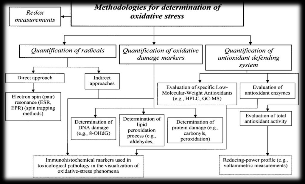 ΜΕΤΡΗΣΗ ΟΞΕΙΔΩΤΙΚΟΥ ΣΤΡΕΣ Έχουν παρουσιαστεί αρκετές μέθοδοι προσδιρισμού του οξειδωτικού στρες στον