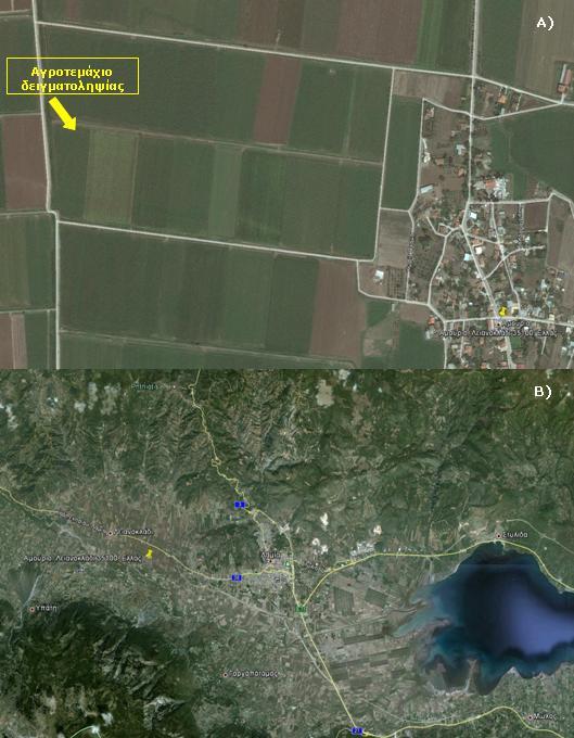 Κεφάλαιο 3 Υλικά και Μέθοδοι Εικόνα 3.1 Αγροτεµάχιο στο οποίο έγινε η συλλογή των δειγµάτων εδάφους στην περιοχή Αµούρι Φθιώτιδας (Α).