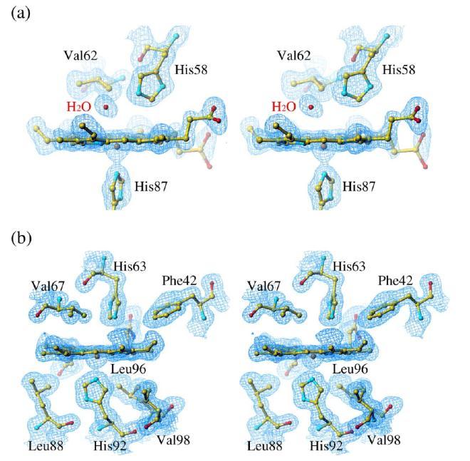 2. Prikaz odabrane teme 9 dţepova vezana vodikovom vezom na distalni histidin, ali nema tragova molekule vode u β dţepu (slika 4). 4 Slika 4.