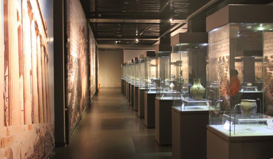 Museum of